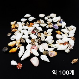 미니 조개 소라세트 어항 수조 꾸미기 (약100개)