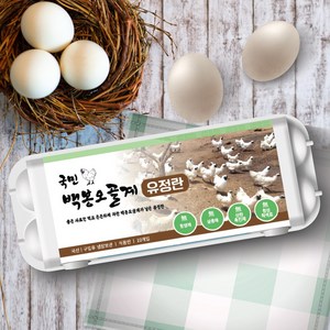 [국민란] 국민 백봉오골계알 한약재 영양물 HACCP 사료 공급 백봉오골계 무항생제 무살충제 무산란촉진제 무합성착색료 유정란 백봉오골 계란 오골계 달걀 국민란, 40구