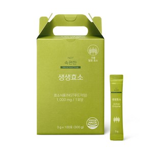 네츄럴굿띵스 속편한 생생효소 100포 1박스, 300g, 1개