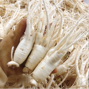 바른인삼 가정용 세척인삼 700g 25-35뿌리, 무료세척, 1개