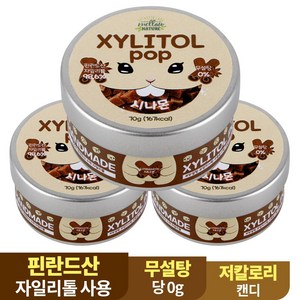 수제 장인 자일리톨 팝 캔디 사탕 시나몬, 70g, 3개