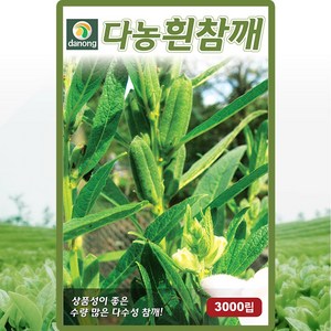 다농 다수성 흰참깨 씨앗 3000립, 1개