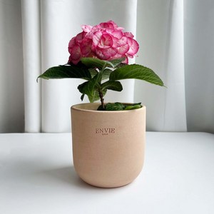 ENVIE CASA 동그리 토분, 13 cm, 1개