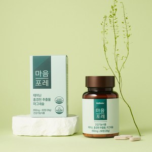 웰린더 마음포레 불안전용영양제 650mg 갱년기 공황, 1박스, 60정