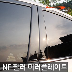 레이스텍 B필러 C필러 미러플레이트 / 기둥몰딩, B필러 NF소나타(트랜스폼)(6P)