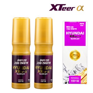 현대 엑스티어 알파프로(전문가용) 가솔린 휘발유 경유 디젤 500ml, 1세트, 가솔린/휘발유, 2개