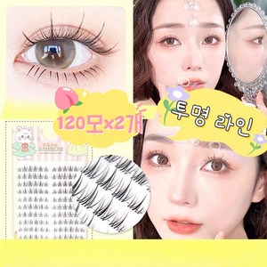 티류으스[국내 출고]120가닥 대용량 가닥 인조 속눈썹 자연스러운셀프연장 부분 속눈썹 연장 8mm+9mm+10mm 10줄 블랙/투명/브라운 라인, 2개, 투명라인