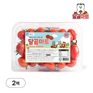 달곰마토 스테비아 방울토마토, 1개, 1kg