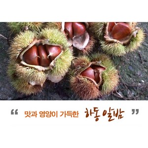 [하동참다래매실농원] 23년 밤 햇밤 알밤 3~5kg, 1박스, 알밤 10kg 중