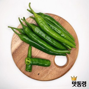 맛통령 국내산 오이고추, 1개, 당일경매 신선한 오이고추 500g