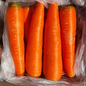 자주 찾는 필수 야채 세척당근 caot 직접선별 이중 박스포장, 10kg (개당300g내외), 1개