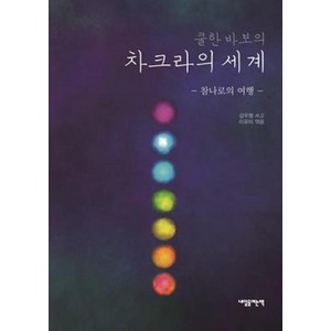 [내일을여는책]쿨한 바보의 차크라의 세계 : 참나로의 여행, 내일을여는책, 김우형