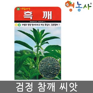 영농사 흑깨씨 아람흑깨 씨앗 1000립 흑임자 흑참깨 종자 검정깨 검은깨, 1개