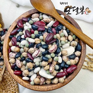 힘찬농부오달봉 수입 혼합콩 9종 오색혼합콩, 1개, 1kg