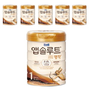 앱솔루트 명작 2FL 분유 1단계, 800g, 6개