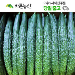 < 바른농산 > 국내산 오이 가시오이 청오이 특품, 1개, 5kg