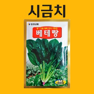 농사친구 시금치 씨앗 1400립 베테랑 동원 씨 종자 모종 항암 배추 고추 맥문동 고수 깻잎 잔디, 1개