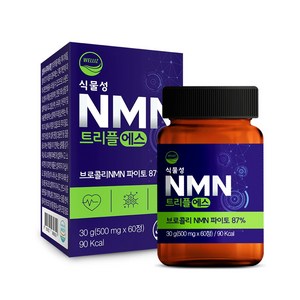 웰리즈 식물성 NMN 트리플에스 엔엠엔 파이토, 1개, 60정