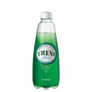 트레비 롯데칠성 플레인 탄산수, 300ml, 80개