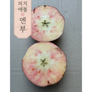 [신품종] 엔부사과피치애플 복숭아사과 가정용, 1박스, 2kg (8과 내외)