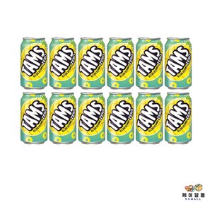 탐스 제로 파인애플향 355ml, 12개