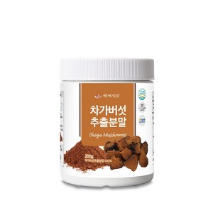 차가버섯추출분말 200g HACCP 인증제품, 1개