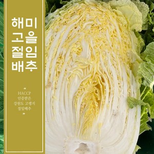 HACCP 인증받은 강원도 고랭지 절임배추 10kg 20kg / 최서방 절임배추 / 해미고을 절임배추