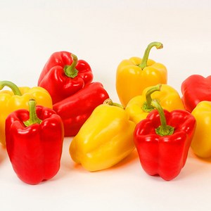[블루밍그린] 국내산 못난이 빨강 노랑 혼합 파프리카 (가정용) 1kg, 1개