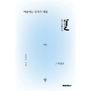 여름에는 상처가 제철, 차정은 저, BOOKK(부크크)