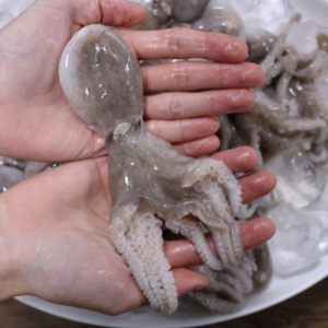 [산지직송] 국산 서해안 최상급 활쭈꾸미 알배기 알쭈꾸미 1kg, 1개, 최상급 쭈꾸미 1kg