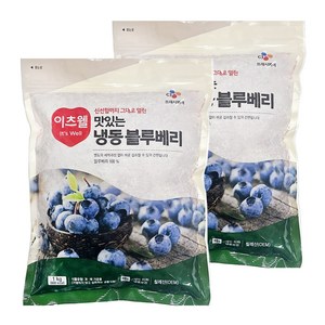 CJ프레시웨이 A등급 냉동 블루베리 1kg x 2개