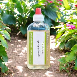 [더위치] 족도리풀뿌리추출물 100ml 세신추출물 Asarum Sieboldii Root Extract