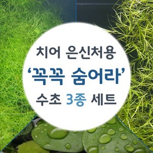 치어 은신처용 꼭꼭숨어라 수초3종 세트, 1세트