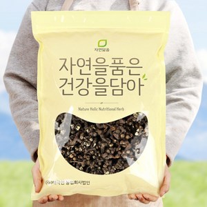 자연닮음 수입산 헛개열매 1kg 헛개나무 열매 지구자, 1개, 1개입