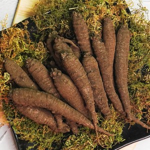 [미식한가] 향이진한 제주 흙더덕 (실속형) 뿌리채소, 1박스, 2kg(실속형)