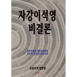 자강이석영비결론, BOOKK(부크크)