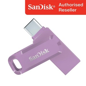 샌디스크 USB 메모리 DDC3 퍼플 C타입 OTG 3.2 대용량 [10개이상 무료 각인], 64GB