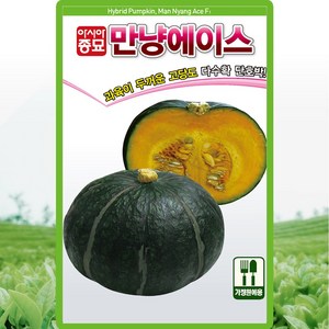 아시아종묘 만냥에이스 단호박 씨앗 20립 반덩굴성 단호박씨 종자, 1개