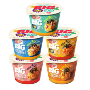 햇반컵반 BIG 컵밥 5종 (스팸마요+치킨마요+스팸김치+김치날치알밥+치즈닭갈비), 1세트