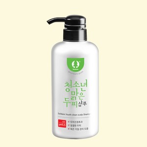 솔다인 청소년 비듬전용 맑은 두피 샴푸, 500g, 1개