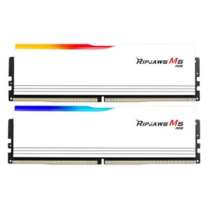 [G.SKILL] DDR5 PC5-48000 CL30 RIPJAWS M5 RGB 화이트 [32GB (16GB*2)] (6000)