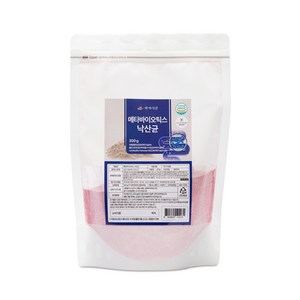 메타바이오틱스 낙산균 분말 300g 팩 HACCP 인증제품, 1개