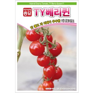 아시아종묘 씨앗 방울토마토 TY베리퀸 50립, 1개