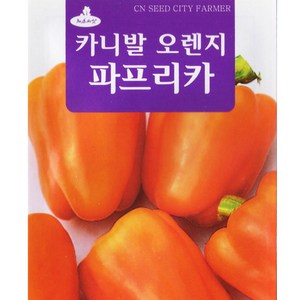 카니발오렌지 파프리카씨앗 10립, 1개