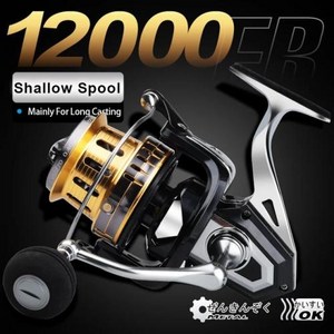 HISTAR FB 2500 ~ 12000 긴 주조 5.1:1 높은 비율 10kg-15kg 드래그 파워 금속 스풀 스피닝 낚시 릴, Shallow Spool