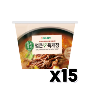 얼큰대파 육개장 즉석국 28g x 15개 1박스