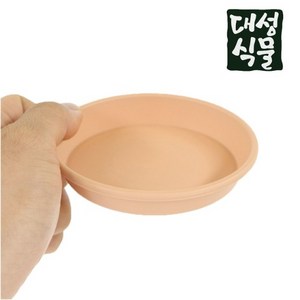 동그라미 물받침 플라스틱받침 토분받침 화분물받침 대성식물, 1. 동그라미 물받침 (살구), 1개