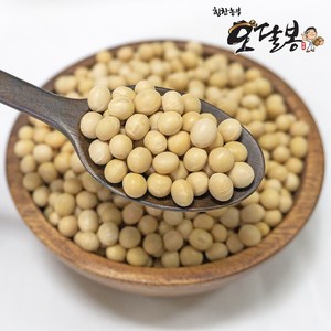 힘찬농부오달봉 수입 백태 메주콩 대두 두부콩, 1kg, 1개