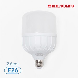 번개표 LED 고와트 전구 30W(E26), 전구색, 1개, 전구색