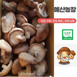 GAP인증 예산표고버섯 못난이 (무료배송) 생표고버섯 가정용으로 추천 다시용 가루용 대량용 육수용 김정용 식당용 건조용 농장직송, 못난이 8kg, 1개